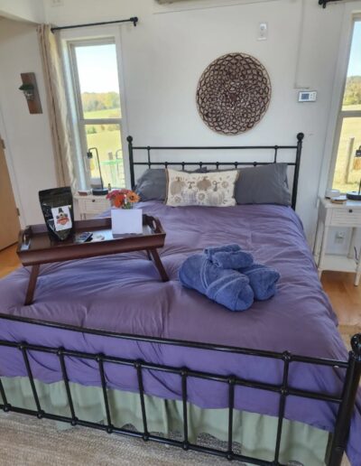 Cozy AirBnB at Merino Matron Sheep Farm just south of Charlottesville VA